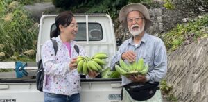 沖縄でバナナ狩り！それもナムワバナナ　エポカル