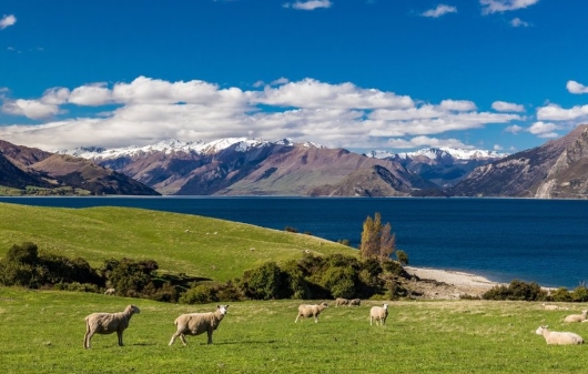 ニュージーランドは、紫外線が強い　エポカル　株式会社ピーカブー