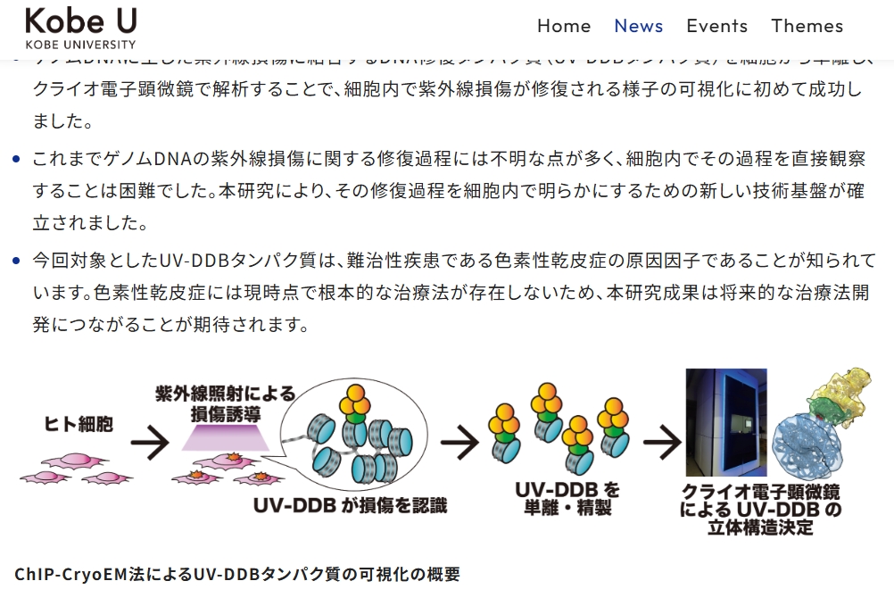 色素性乾皮症 最新研究 株式会社ピーカブー エポカル
