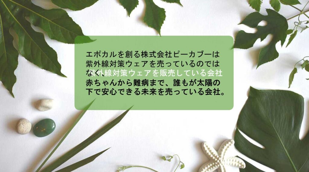 大東文化大学にて講義　経営学部　株式会社ピーカブー　まとう木陰　スライド